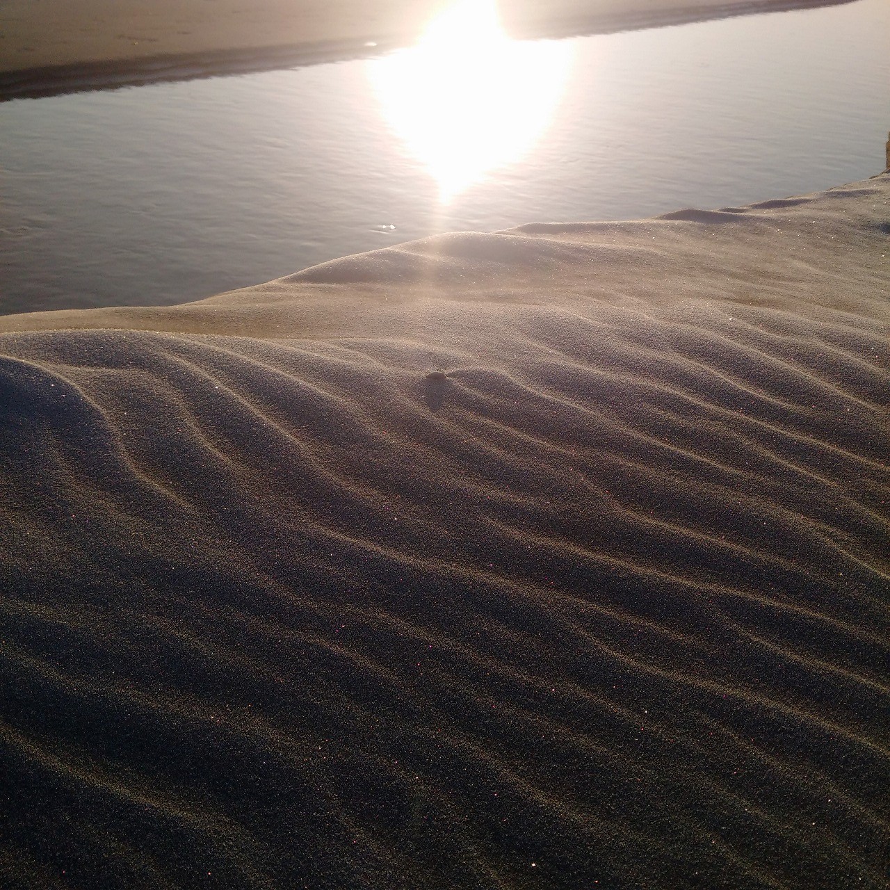 霜の降りた砂浜はキラキラと光って綺麗だ